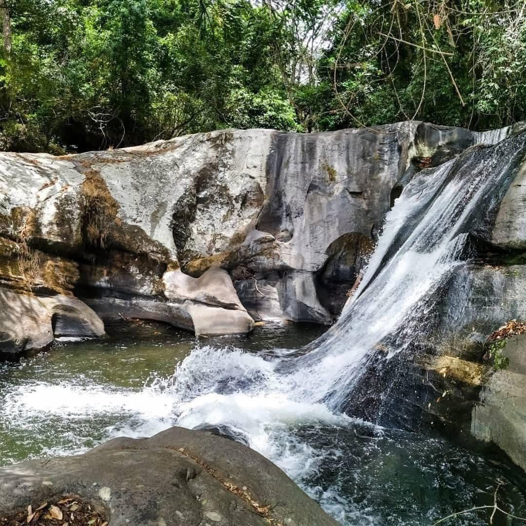 Udzungwa